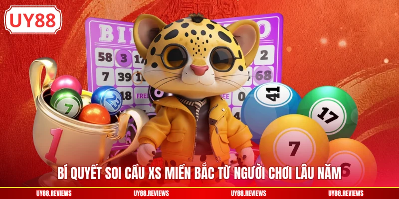 Bí quyết soi cầu XS miền Bắc từ người chơi lâu năm